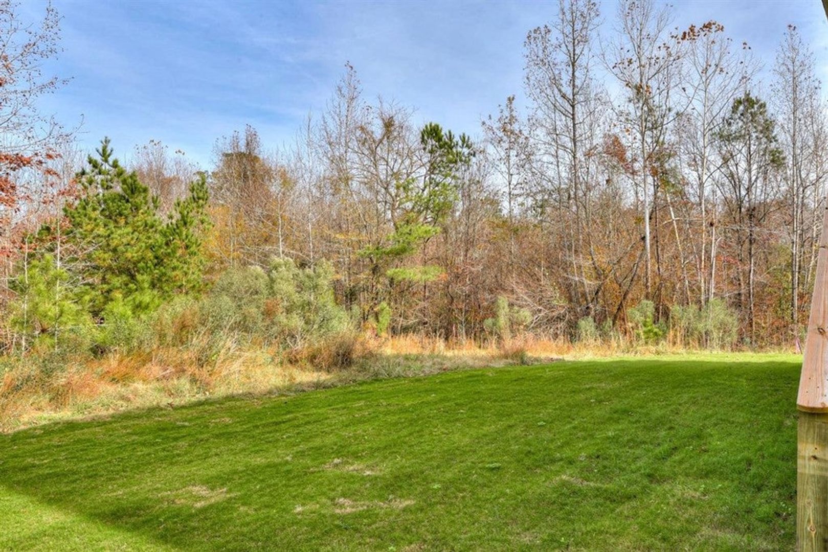 Evans House: 1011 Spotswood Circle