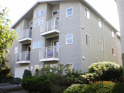 Seattle Apartment: 1531 NW 52nd St