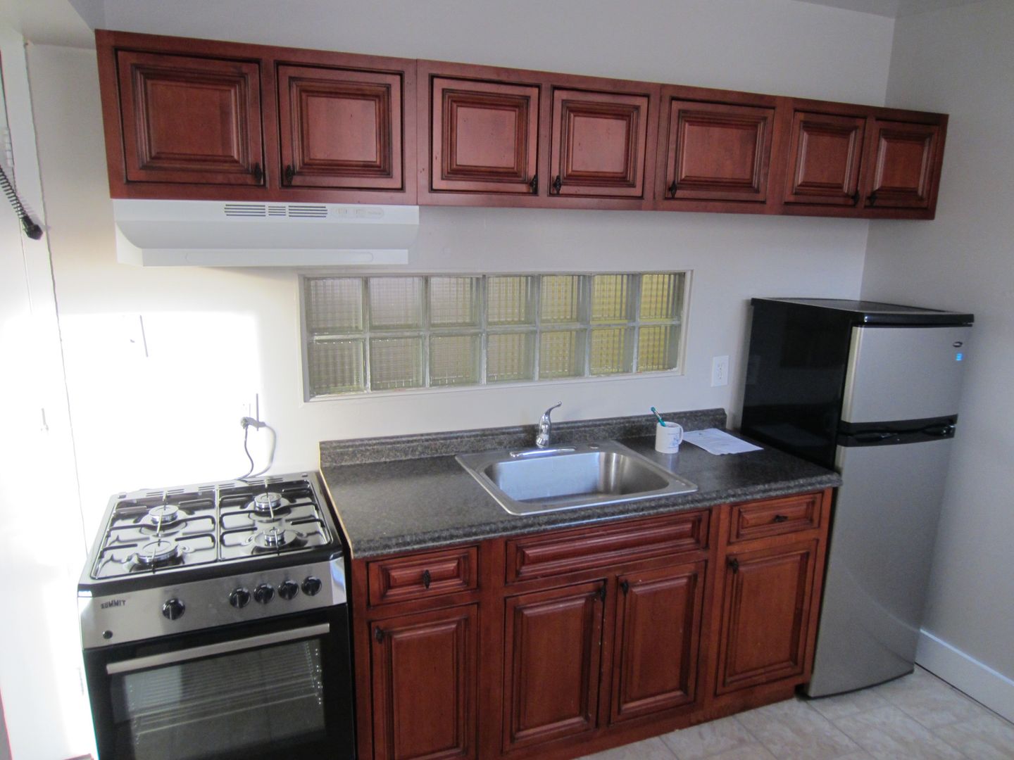 Rochester Apartment: 141 S. Fitzhugh Street