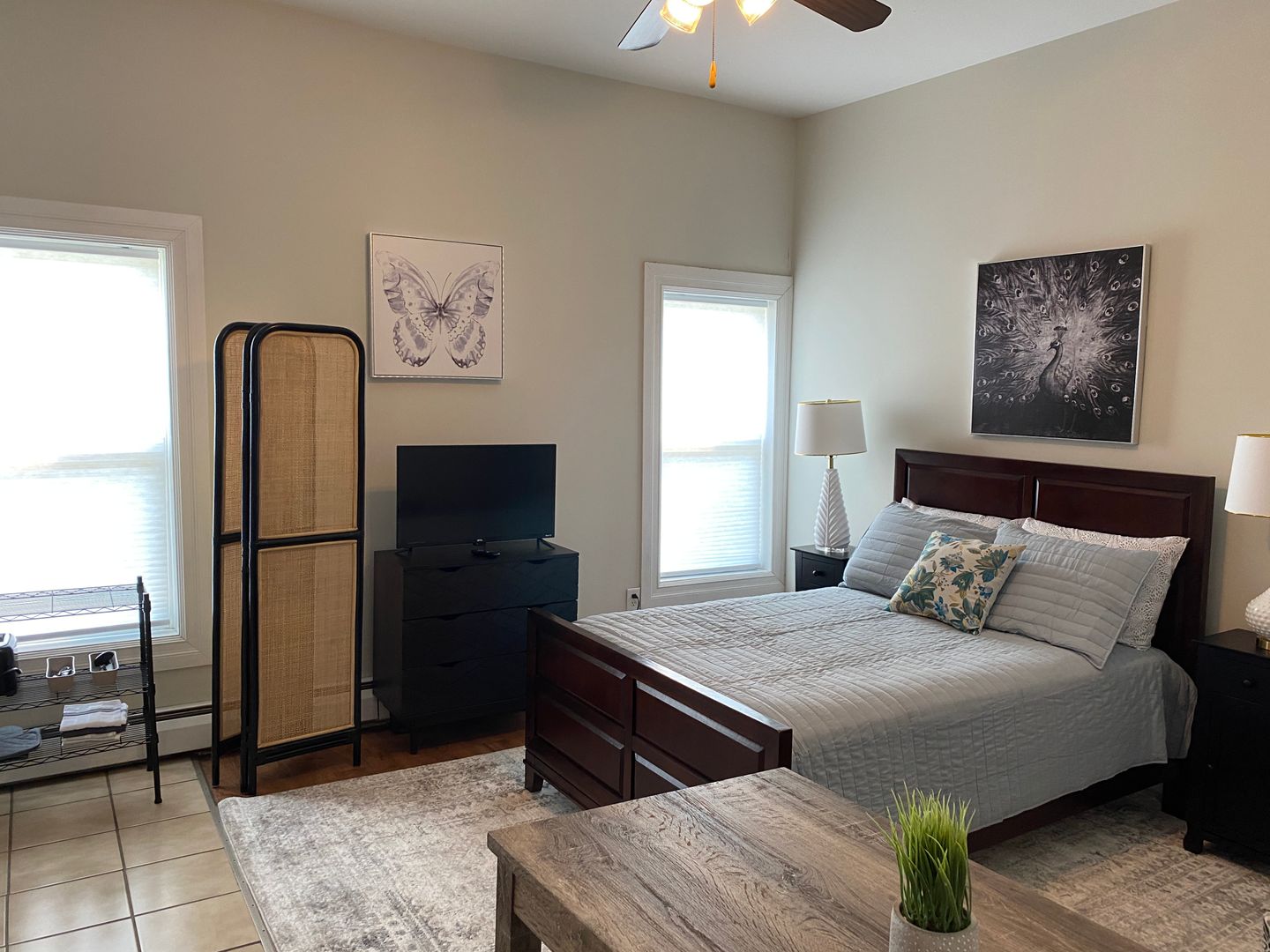 Rochester Apartment: 1100 South Ave