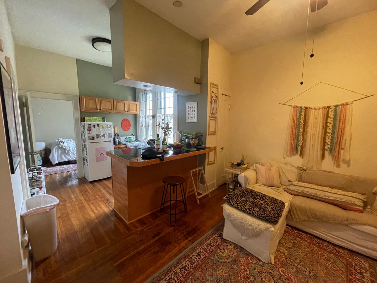 Rochester Apartment: 141 S. Fitzhugh Street