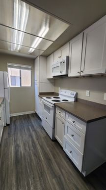 UGRADED 1B/1B DOWNSTAIRS UNIT WITH PRIVATE YARD
