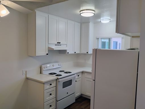 Spacious Downstairs Corner Unit with Ample Parking – photo 1
