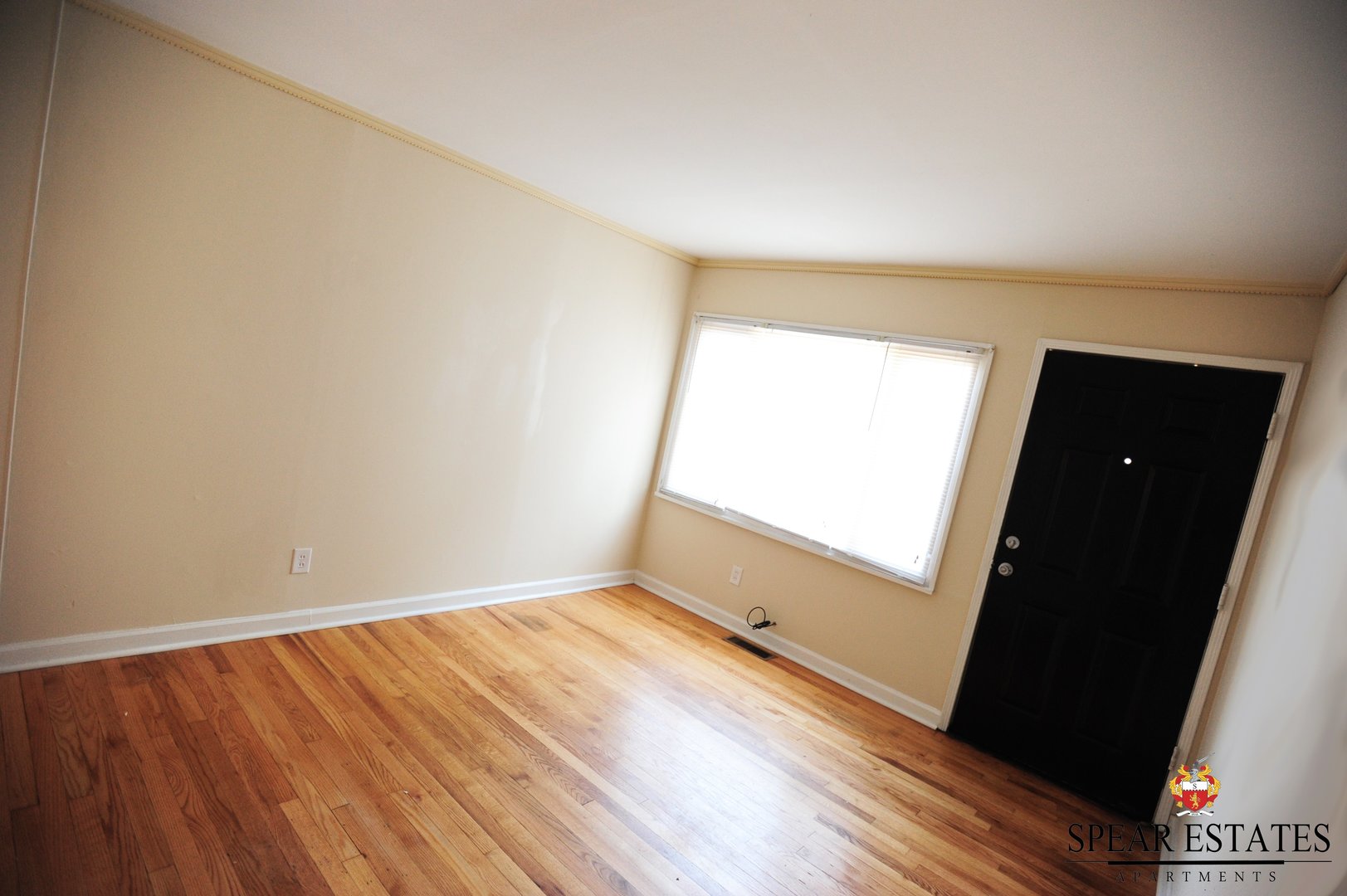 Winston Salem Apartment: 219 N. Spring St