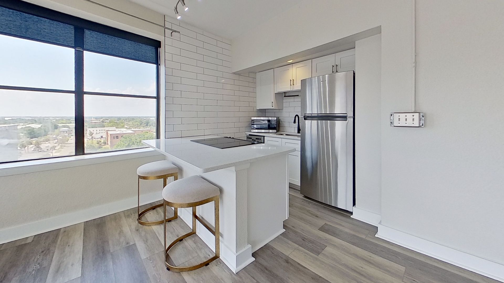 Jacksonville Condo: 311 W. Ashley St.