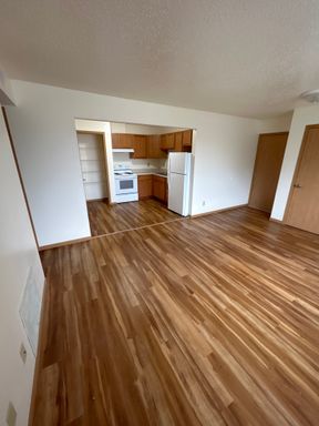 Light filled 1bd apartment with no carpet!