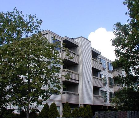 Updated 1Bed Near Light Rail - 4 Weeks Free – photo 1