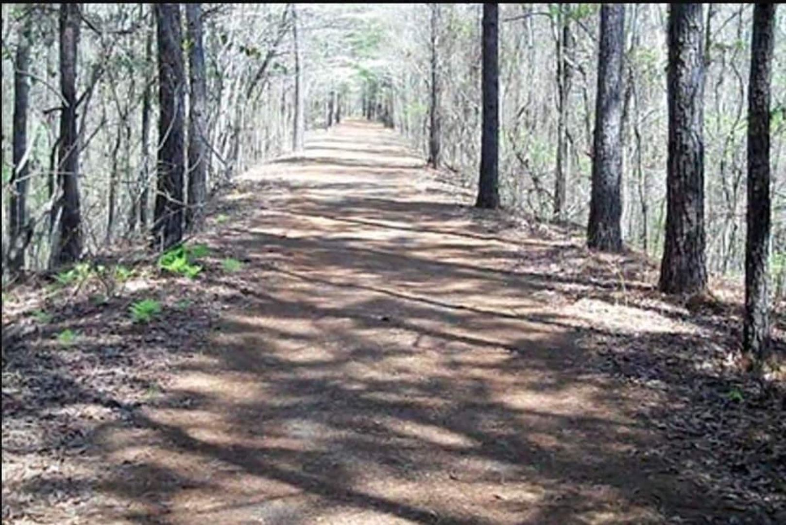 Oxford Condo: 2216 Church St