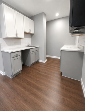 Spacious updated 4 bedroom duplex with A/C near Loyola University – photo 1