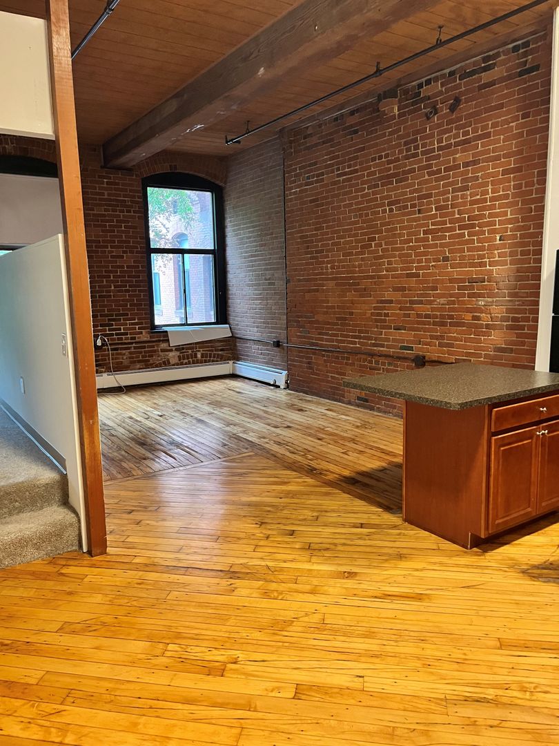 Springfield Apartment: 45 Willow Street