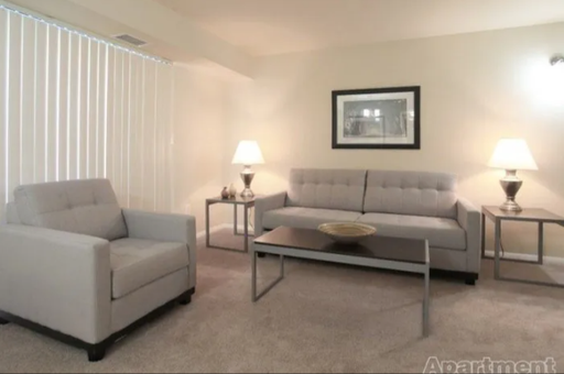 8532 FREYMAN DRIVE APT# 218