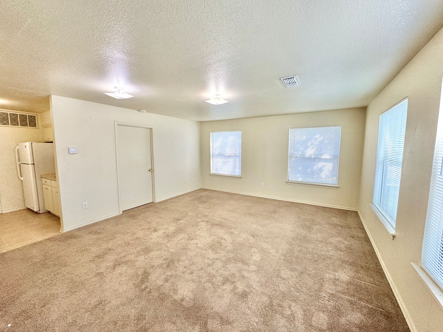 Denton Apartment: 932 Fannin Street