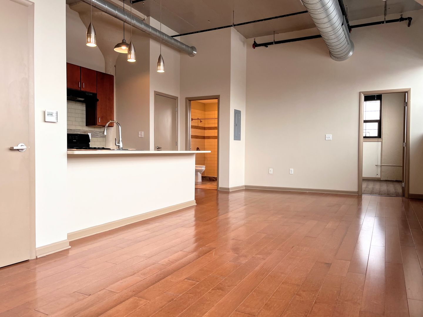 Buffalo Apartment: 550 Seneca Street