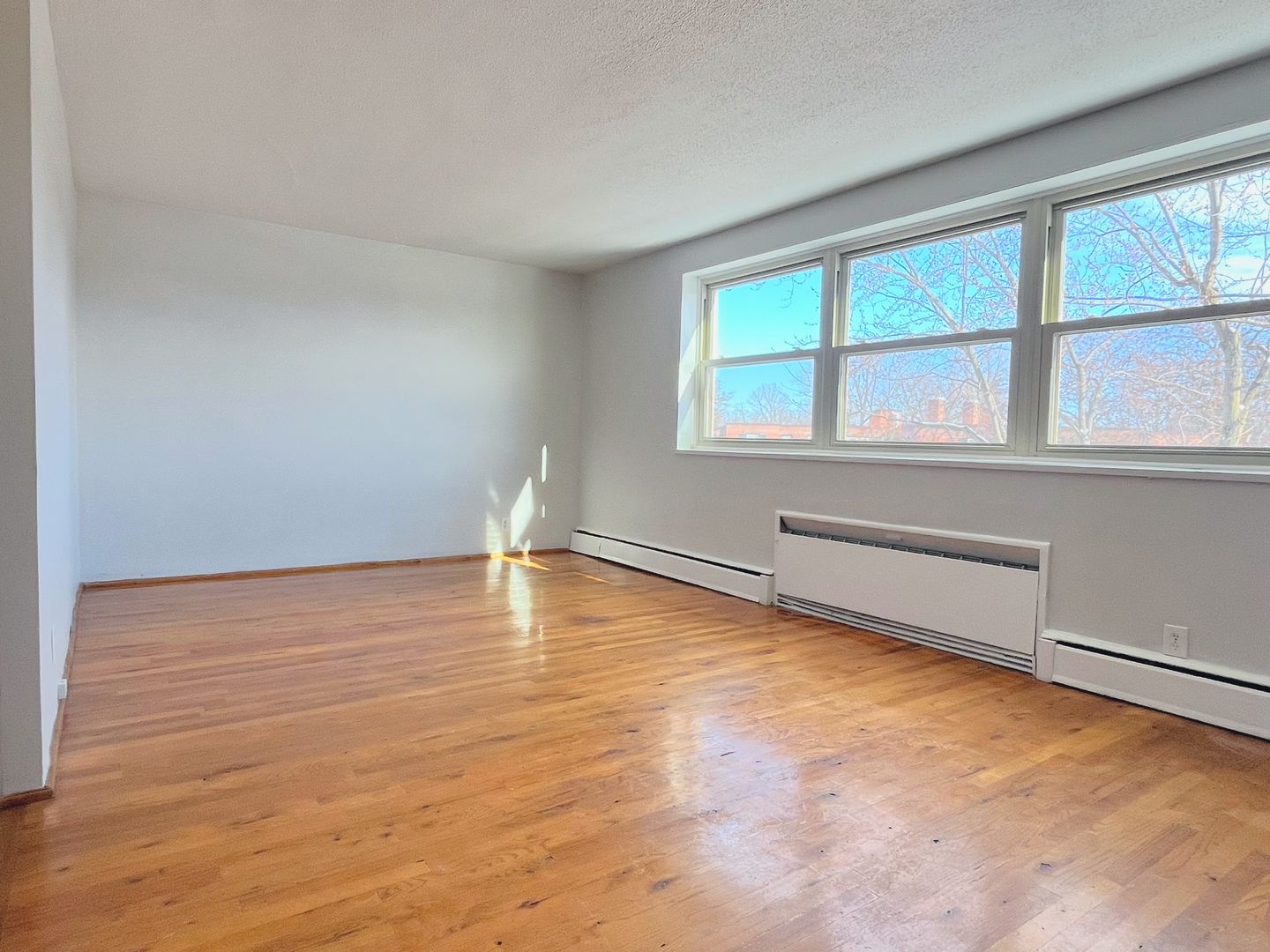 Buffalo Apartment: 1962 Delaware Avenue