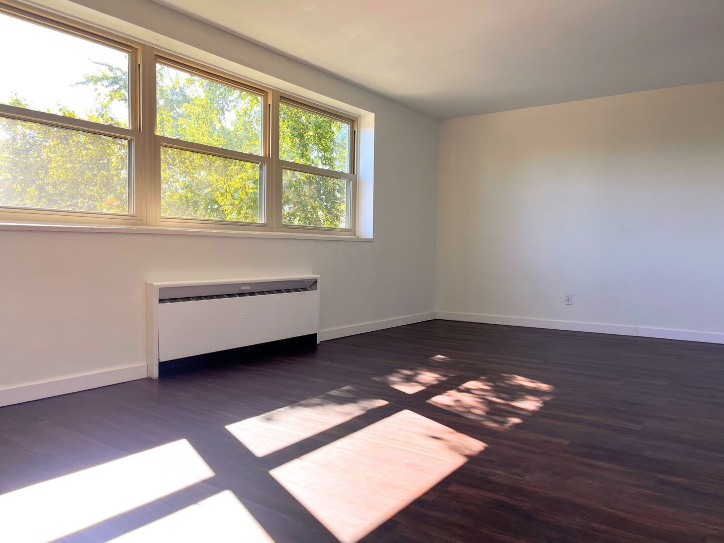 Buffalo Apartment: 1998 Delaware Avenue