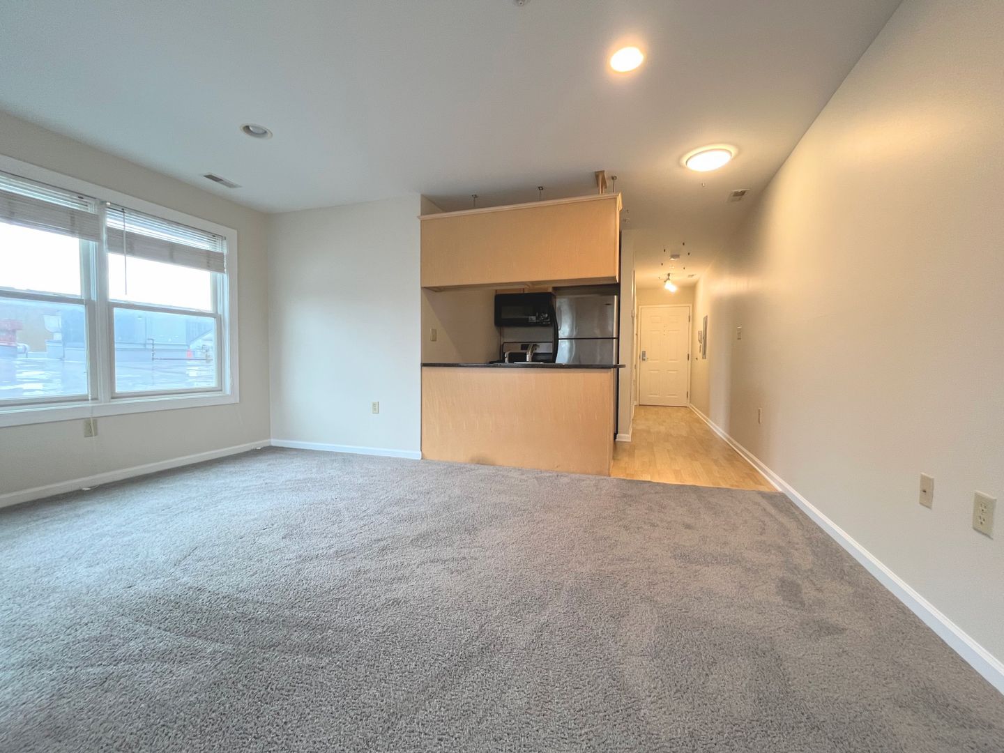 Buffalo Apartment: 504 Elmwood Avenue