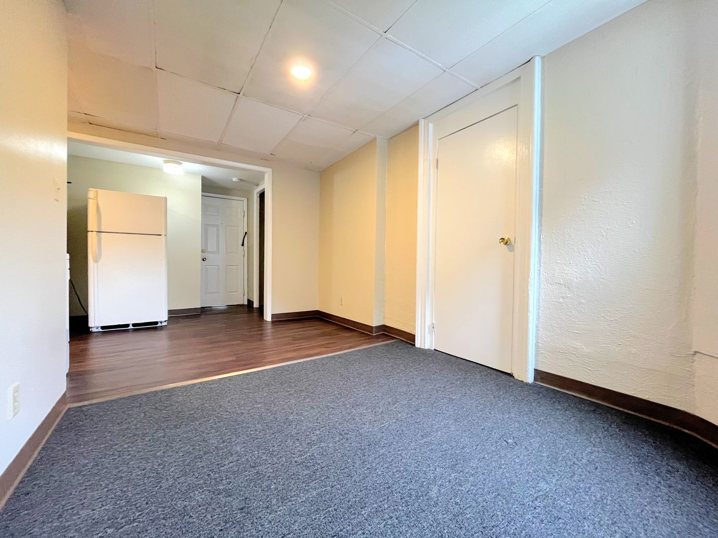 Buffalo Apartment: 24-30 Plymouth Ave.