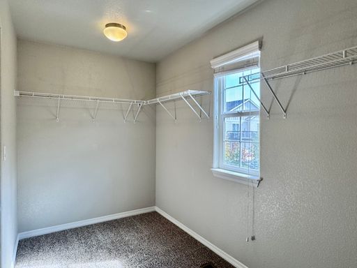 17849 Smelting Rock Drive, Monument, CO 80132