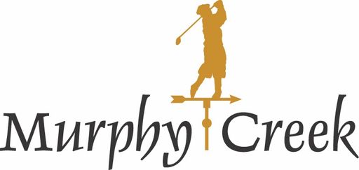 1306 S. Buchanan Way, Aurora, CO 80018