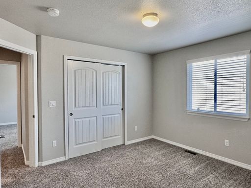 17849 Smelting Rock Drive, Monument, CO 80132