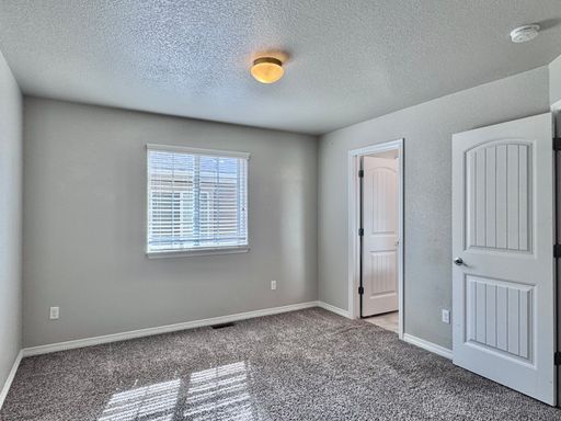 17849 Smelting Rock Drive, Monument, CO 80132