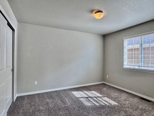17849 Smelting Rock Drive, Monument, CO 80132