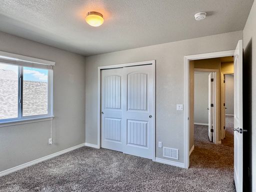 17849 Smelting Rock Drive, Monument, CO 80132