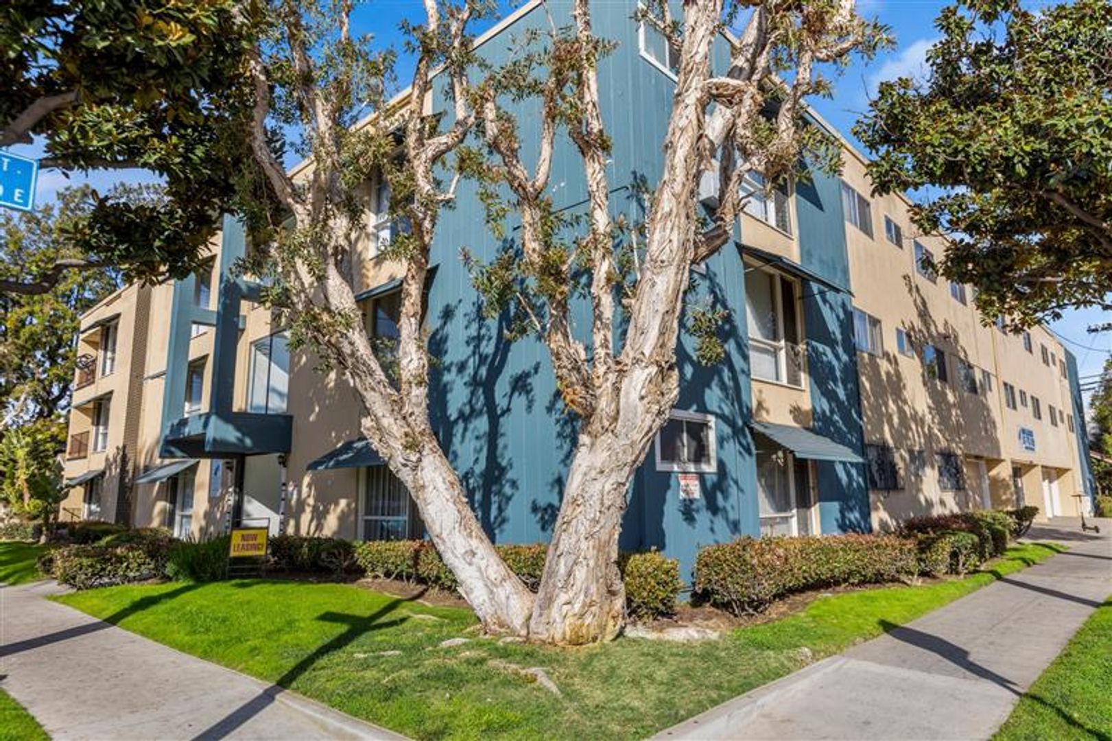 Long Beach Apartment: 800 Linden Ave