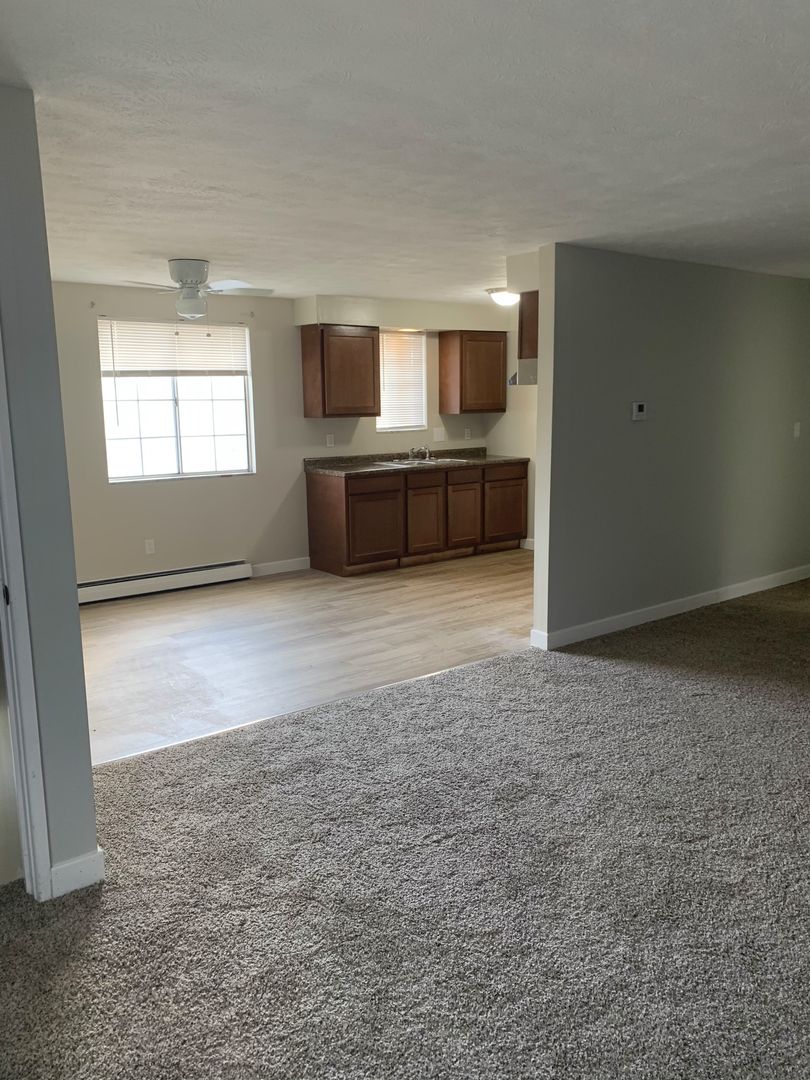 Austintown Apartment: 250 Carnegie Ave.
