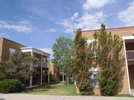 Las Cruces Apartment: 1020 S. Triviz Dr.