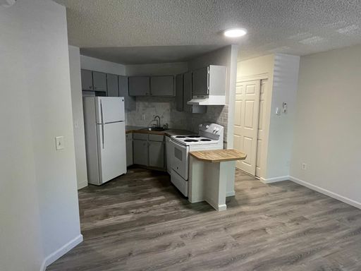 Charming quite neighborhood N of campus, garden level 1-Bedroom - Off-Street Parking, AC, in-unit washer/dryer! – photo 1