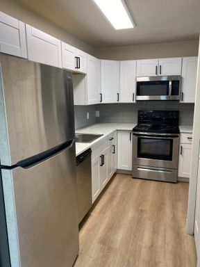 August Leasing Special: Charming 2 Bed, 1 Bath Apartment Near Old Town Louisville!