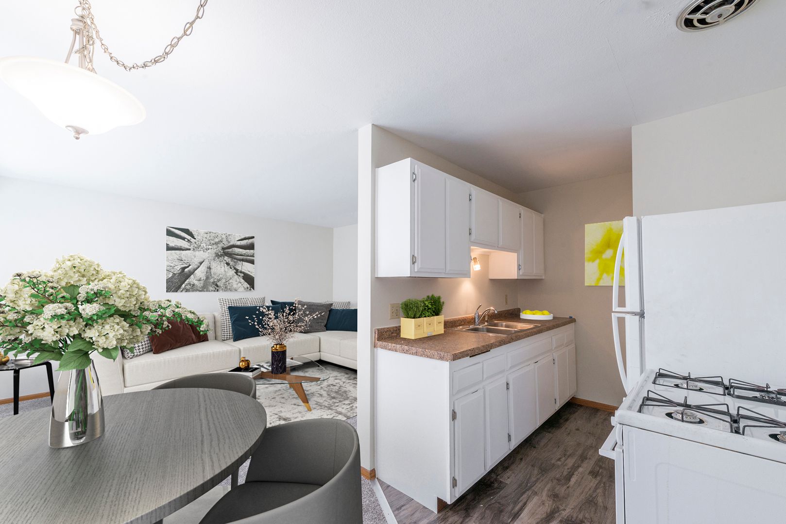 Minneapolis Apartment: 224 Cedar Lake Road North