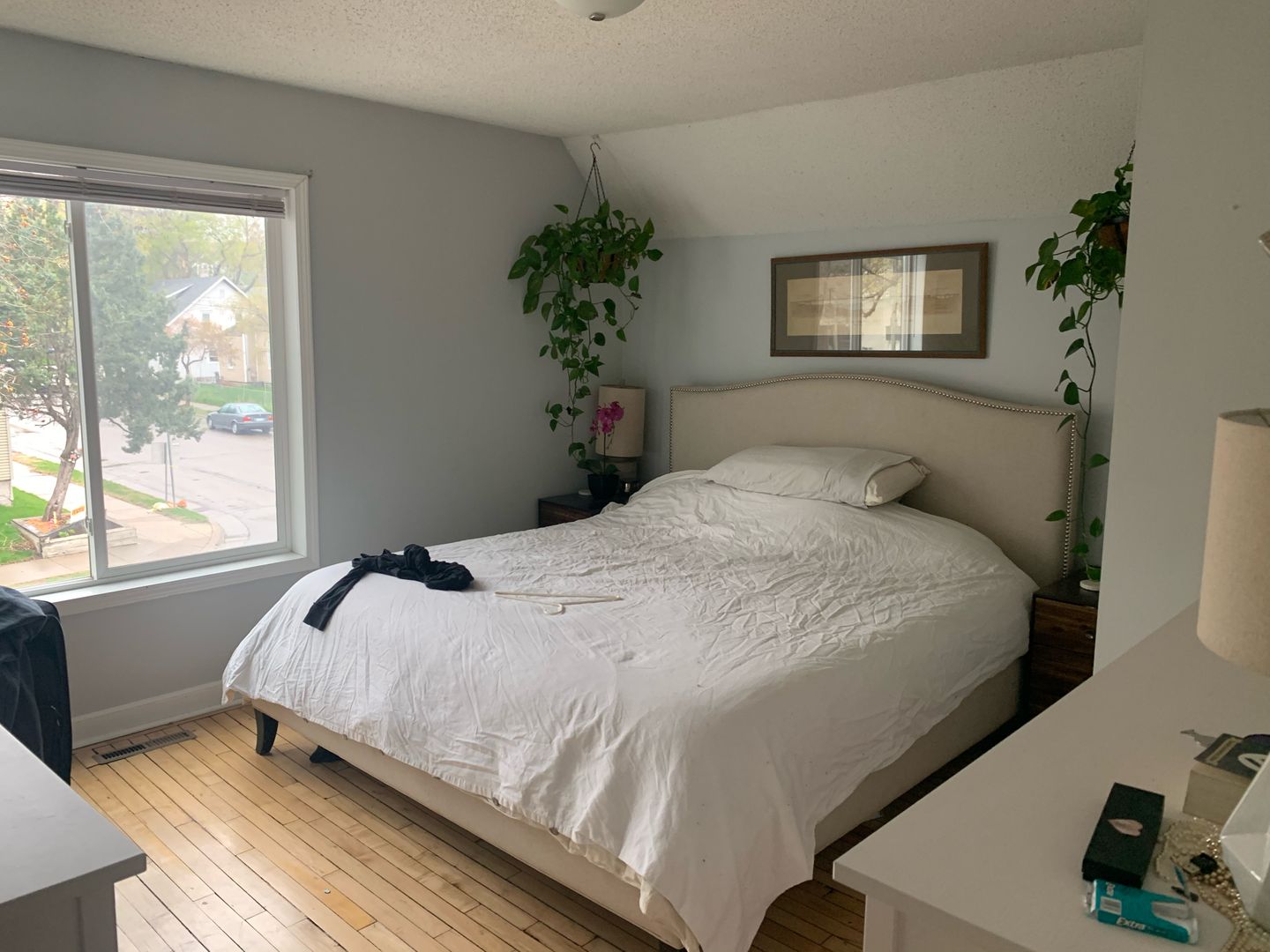 Minneapolis House: 230 Humboldt Ave North