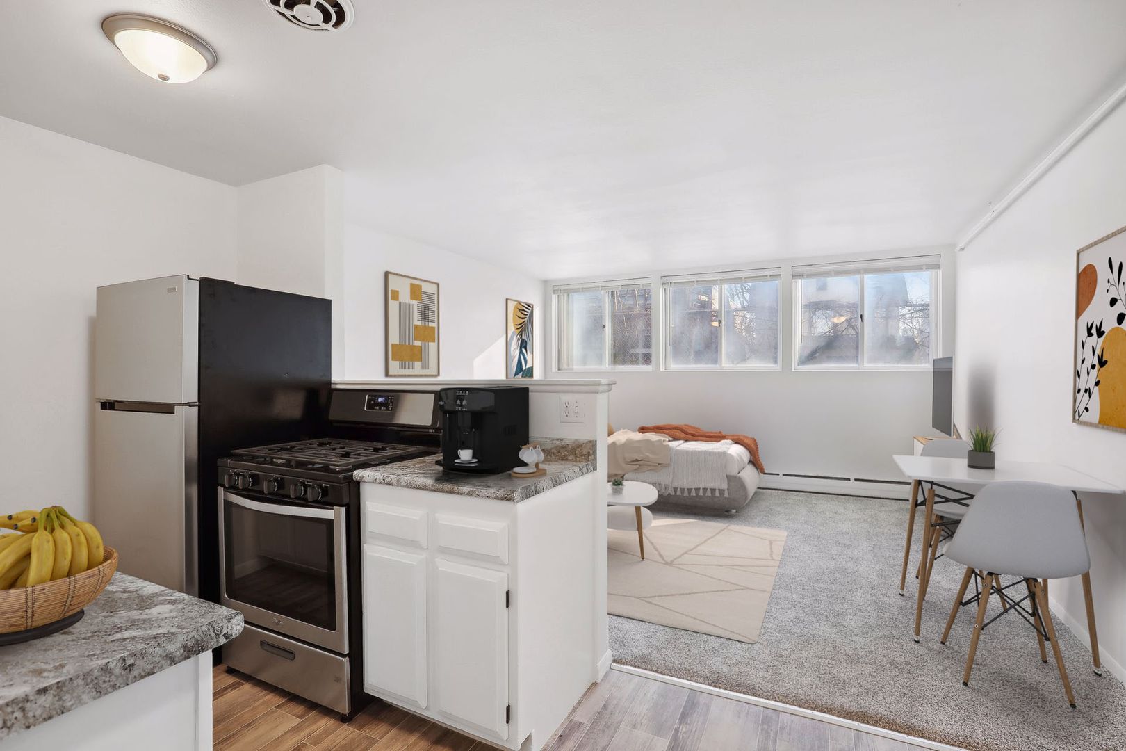 Minneapolis Apartment: 224 Cedar Lake Road North