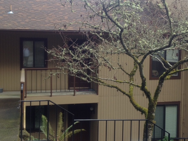 Eugene Condo: 3883 Colony Oaks Dr