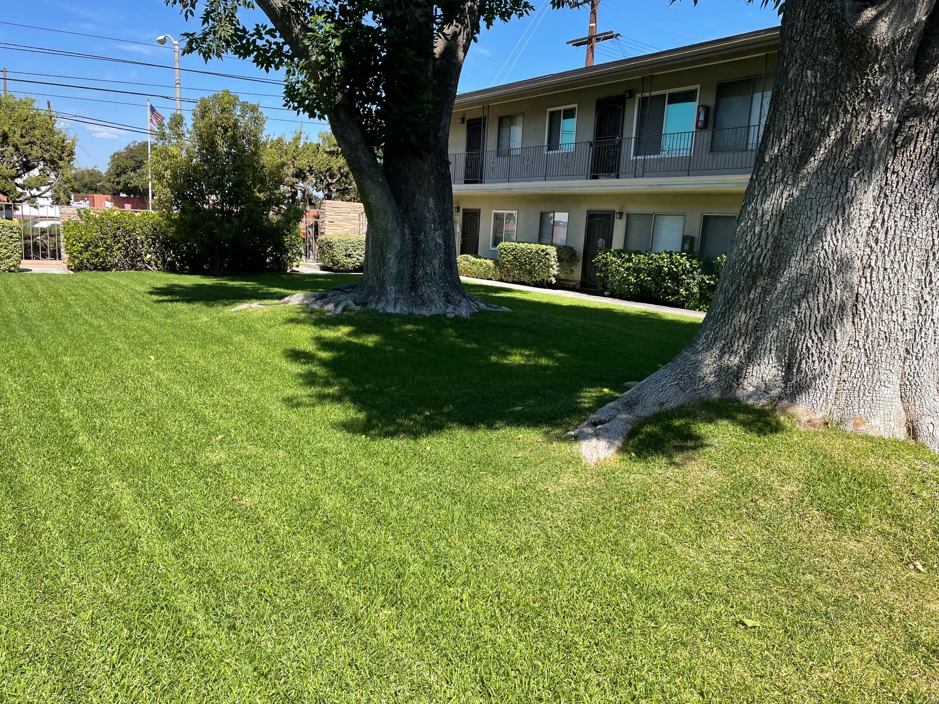 FULLERTON Apartment: 1842 - 1848 W VALENCIA DR