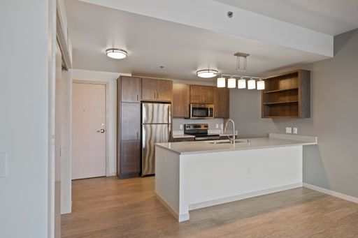 Drop Floor Plan - 1 Bedroom - Downtown – photo 1