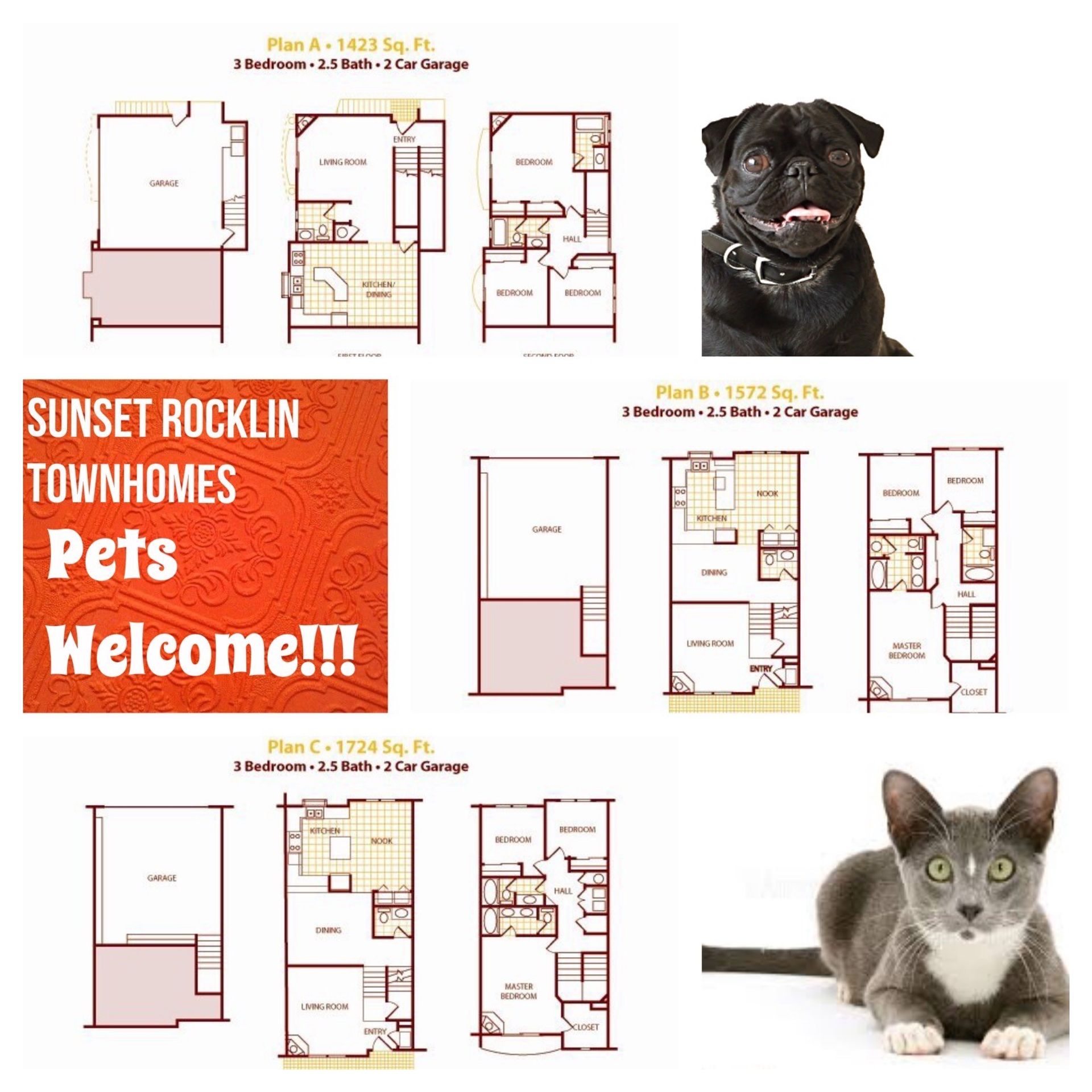 Rocklin Townhome: 2601 Chalmette Court #52