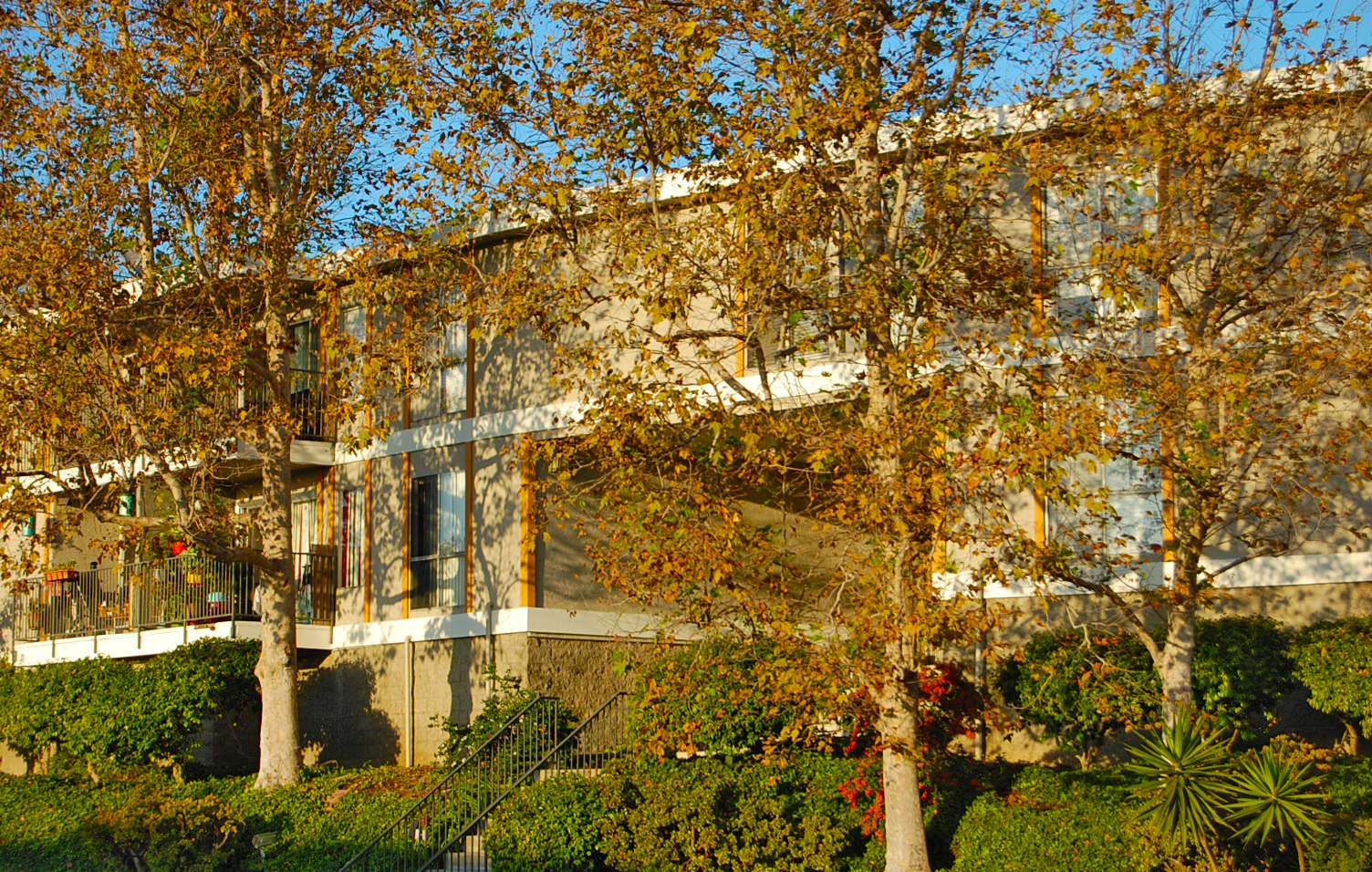 San Diego Apartment: 4191 Cleveland Ave.