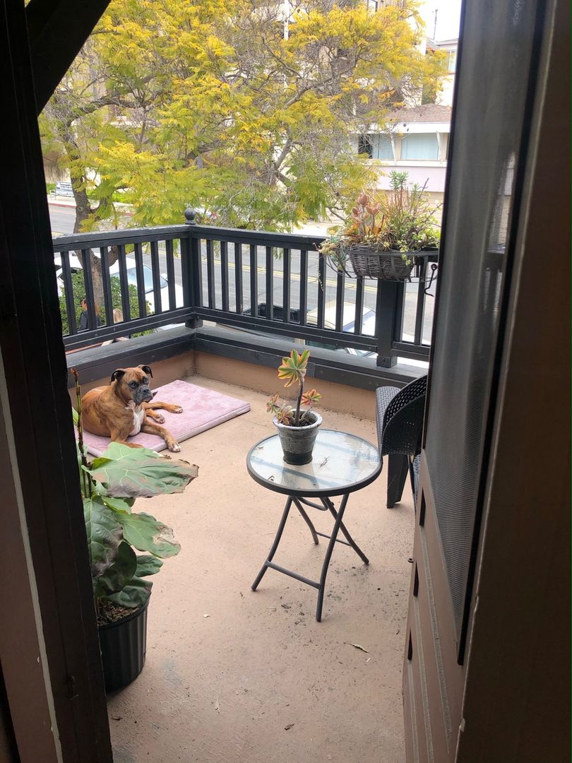 San Diego Apartment: 3130-42, 3172 1st Ave