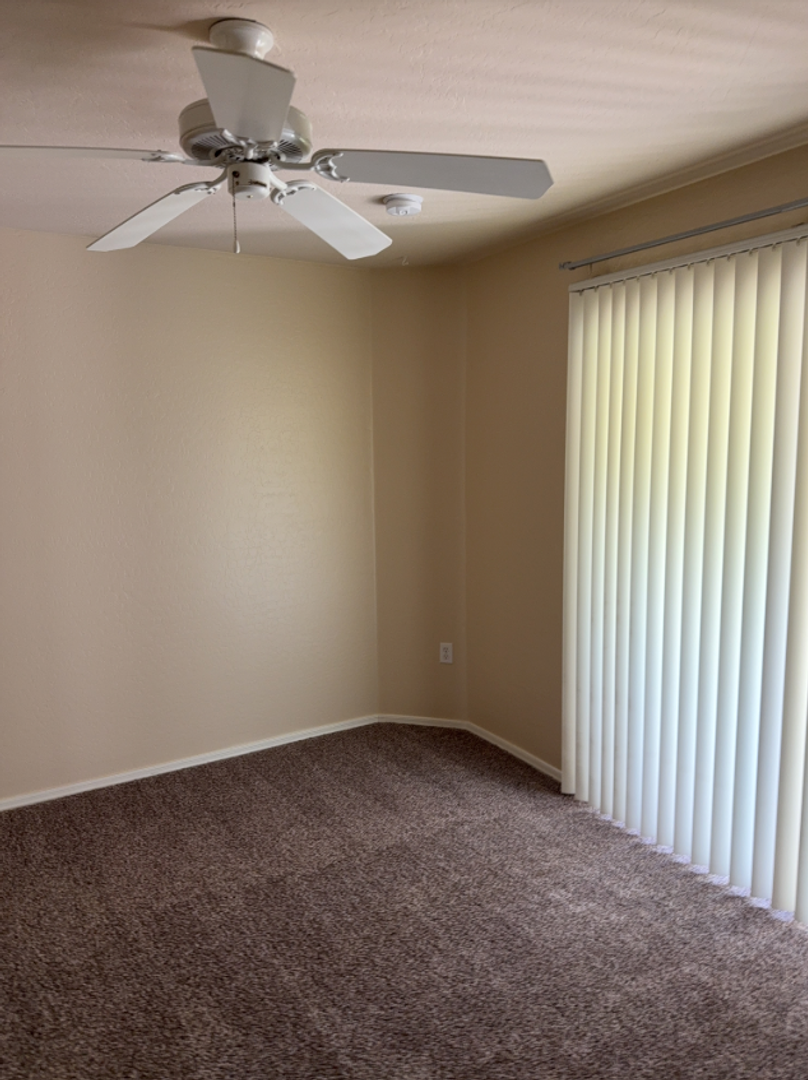 Gallery Image 19