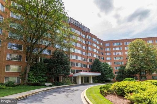 Charming and Sunlit 1 BD, 1 BA with Main Level Walk-in in Glover Park, NW DC!! Utilities Included – photo 1