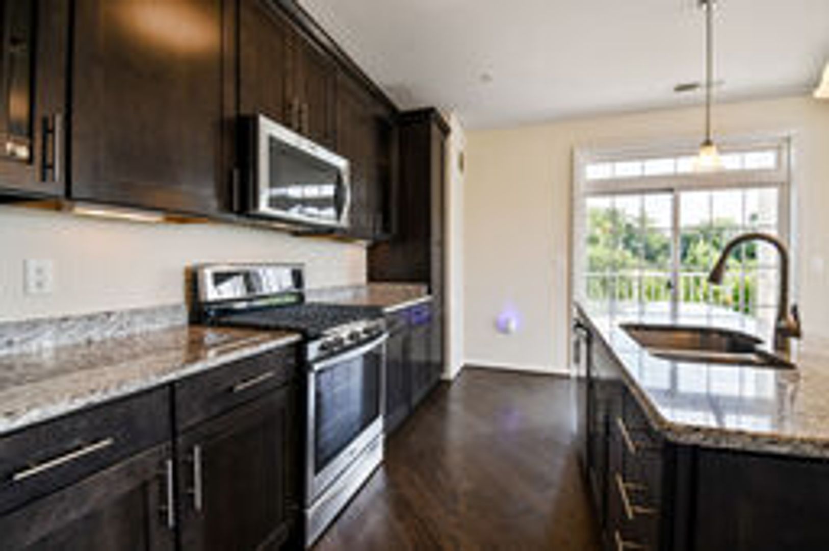 SILVER SPRING Condo: 3911 DOC BERLIN DR 32