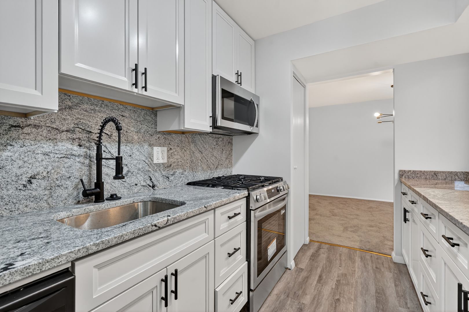 BELTSVILLE Condo: 11230 CHERRY HILL RD #201