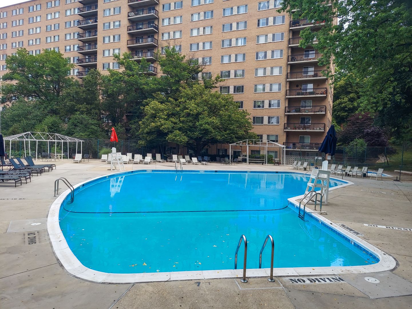 Silver Spring Condo: 1900 Lyttonsville Rd #308