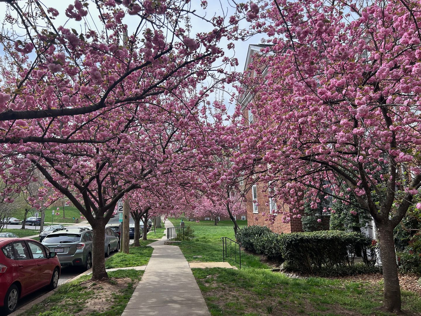 Washington Condo: 3541 39th St NW C507