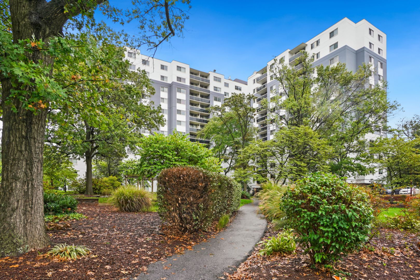 Takoma Park Condo: 7333 New Hampshire Ave #803