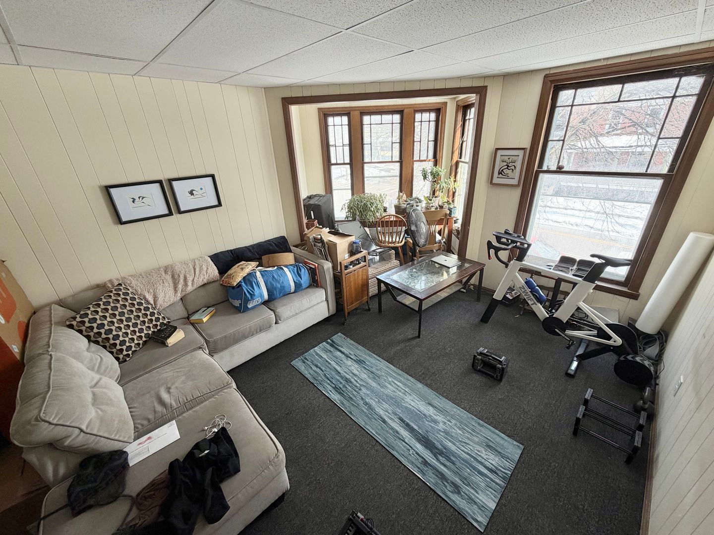 Burlington Apartment: 203 Maple Street