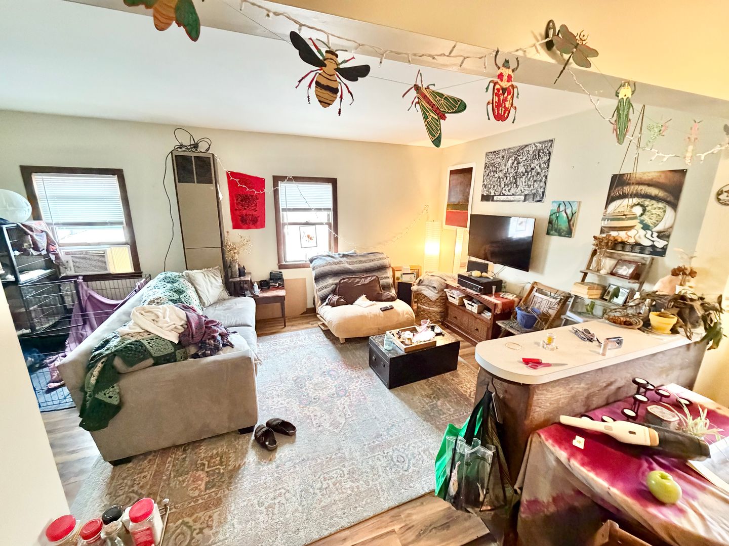 Winooski Apartment: 65 West Street